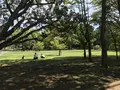 総持寺の写真_222131