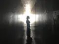 家プロジェクト「護王神社」の写真_222239