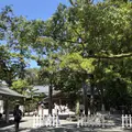 猿田彦神社の写真_222492
