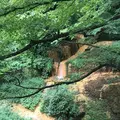 露天風呂の写真_223047
