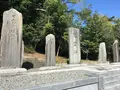 桜ケ池の写真_223078