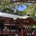 桜ケ池の写真_223084