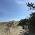 浜岡砂丘の写真_223094