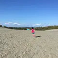 浜岡砂丘の写真_223097