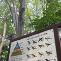 有栖川宮記念公園の写真_223110