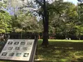 有栖川宮記念公園の写真_223115