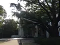 有栖川宮記念公園の写真_223117