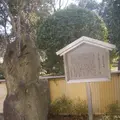住吉公園の写真_223175