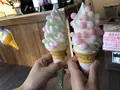 金刀比羅宮宝物館の写真_223201