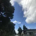 多良間島の写真_223210