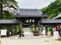 瑠璃光寺の写真_223252