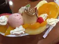 ニューブラジルの写真_224279