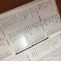 ニューブラジルの写真_224282