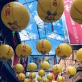 京華園の写真_224352