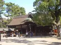 住吉大社の写真_224384
