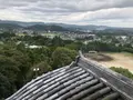 千葉県中央博物館　大多喜城分館の写真_224467