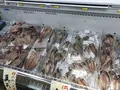 海辺の湯 久里浜店の写真_224581