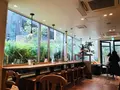 EVERYTHING SALAD 青山の写真_224594