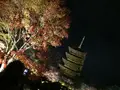 東寺（教王護国寺）の写真_224657