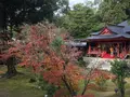大覚寺の写真_224664