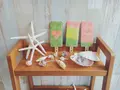 石垣島 アイスキャンディー BINBANの写真_224850