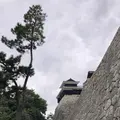 松山城の写真_224976