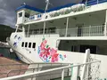 泊港の写真_225260