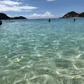阿波連ビーチの写真_225265