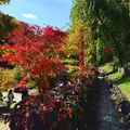 定山渓の写真_225344