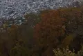 藻岩山の写真_225358