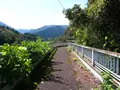 大野虹の湖歩道橋の写真_225473