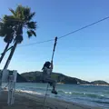 ハーバーハウスバーベキューガーデンの写真_225824