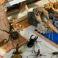 笠間工芸の丘の写真_226004
