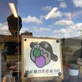 BOSSOの写真_226127