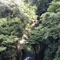 濃溝の滝の写真_226137