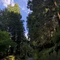 久留里城の写真_226170