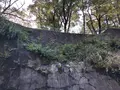 久留里城の写真_226178