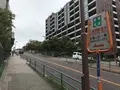 伊勢山皇大神宮の写真_226292