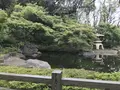 伊勢山皇大神宮の写真_226302