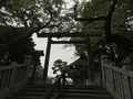 伊勢山皇大神宮の写真_226328