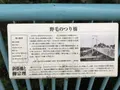 伊勢山皇大神宮の写真_226347