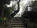 伊勢山皇大神宮の写真_226349