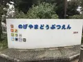 伊勢山皇大神宮の写真_226354