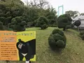伊勢山皇大神宮の写真_226360