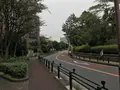 伊勢山皇大神宮の写真_226363