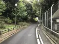伊勢山皇大神宮の写真_226366