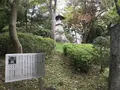 伊勢山皇大神宮の写真_226374