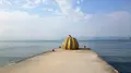 草間彌生「南瓜」の写真_226971