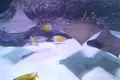 シーライフ ナゴヤの写真_227260