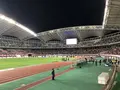 デンカビッグスワンスタジアムの写真_227346